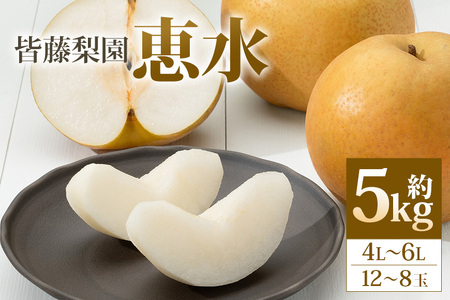 [数量限定・先行予約][皆藤梨園]恵水(約5kg/4L〜6L/12〜8玉) 梨 惠水 果物 なし ナシ けいすい くだもの フルーツ [9月上旬以降発送予定] 75-C