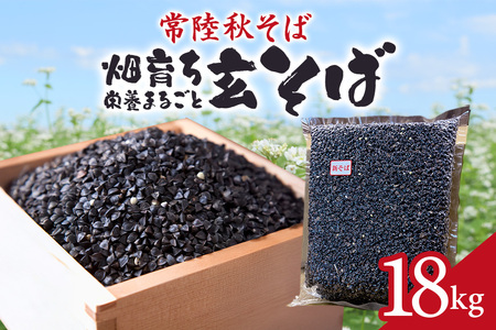 헤H 炿 h{܂邲  18kg   \o uh N e Oet[ X[p[t[h Mtg 錧Y Y 84-B