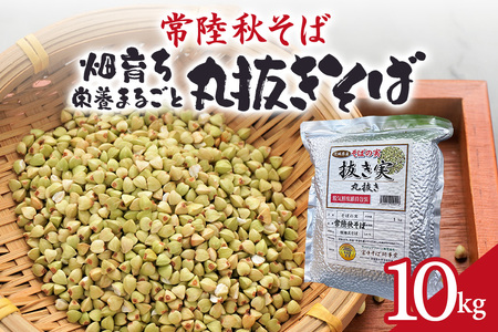 헤H 炿 h{܂邲 ۔ 10kg   \o uh N e Oet[ X[p[t[h Mtg 錧Y Y 84-D