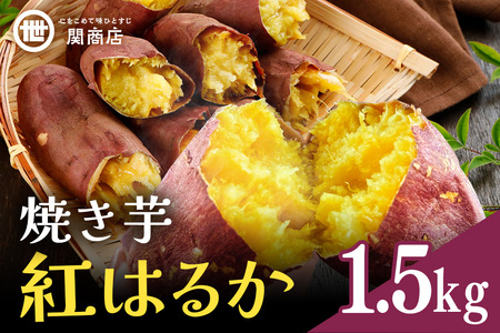 [期間限定] 関商店 焼き芋 紅はるか 1.5kg 国産 茨城県産 砂糖不使用 焼き芋 やきいも 焼芋 焼きいも べにはるか ベニハルカ 甘い 柔らかい 安心 安全 品質 食味 おやつ 62-G [2026年4月20日まで受付]