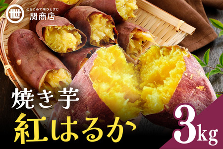 [期間限定] 関商店 焼き芋 紅はるか 3kg 国産 茨城県産 砂糖不使用 焼き芋 やきいも 焼芋 焼きいも べにはるか ベニハルカ 甘い 柔らかい 安心 安全 品質 食味 おやつ 62-H