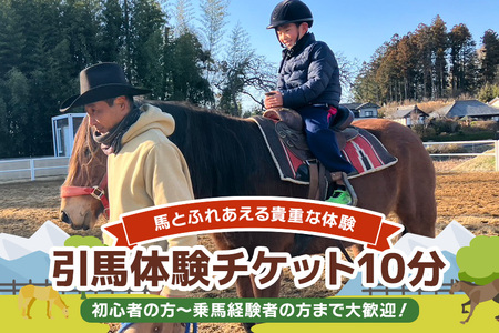 ROCKY★ 引馬体験チケット 10分 体験 チケット 券 引馬 馬 うま ウマ 子供 大人 初心者 経験者 歓迎 92-A