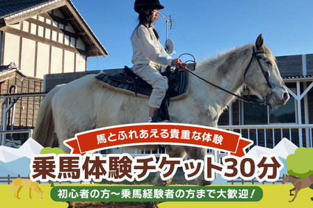 ROCKY★ 乗馬体験チケット 30分 体験 チケット 券 乗馬 馬 うま ウマ 子供 大人 初心者 経験者 歓迎 92-B