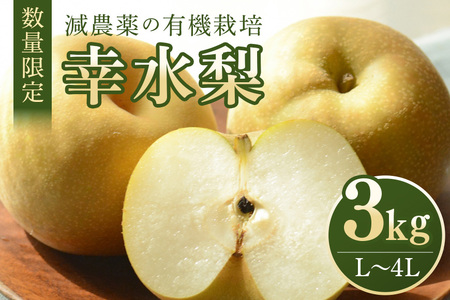 幸水 3kg L〜4L 7〜10玉 梨 なし ナシ 果物 フルーツ 国産 数量限定 先行予約 [8月10日〜9月末発送予定] 70-L