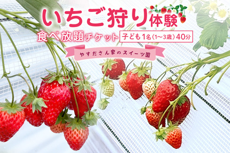 やすださん家のスイーツ園 いちご食べ放題 子ども1名(1〜3歳)40分食べ放題チケット イチゴ 苺 いちご いちご狩り 食べ放題 フルーツ 果物 フルーツ狩り チケット 体験 茨城県 楽しい 季節 農園 果物狩り 味覚狩り 19-AI