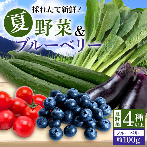 [数量限定・先行予約]小美玉産ブルーベリー&野菜4種類以上セット(夏) ブルーベリー 夏野菜 茨城県 小美玉市 93-F