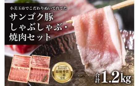 サンゴク豚 しゃぶしゃぶ・焼き肉セット 1.2kg 豚肉 豚バラ肉 ロース 小分け 真空パック しゃぶしゃぶ肉 焼肉用 1.2キロ 1200g ブタ肉 国産 茨城県産 ギフトプレゼント 高級部位 贈り物 贈答用 内祝い 2-K