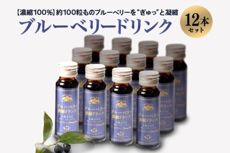 濃縮100％ブルーベリードリンク ブルーベリー ブルーベリー飲料 フルーツ 果物 フルーツジュース ジュース ビタミンE アントシアニン 栄養 目にいい 健康 美容  瞳の健康 ギフト 贈り物 茨城県産 人気 プレゼント セット ドリンク 濃厚 濃縮 9-E