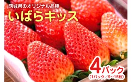 いばらキッス 4パック いちご イチゴ 苺 国産 茨城県産 産地直送 農家] 直送 減農薬 高糖度 甘い 酸味 濃厚 ジューシー スイーツ作り ケーキ作り お菓子 茨城オリジナル品種 フルーツ 果物 くだもの 送料無料 小美玉産 14-A