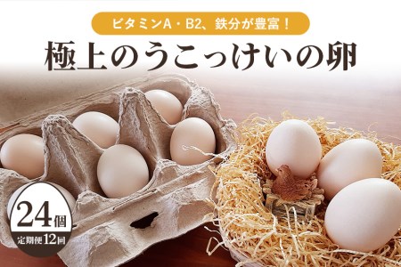 平飼い極上のうこっけいの卵（24個×定期便12回）