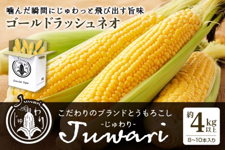 数量限定 [2024年6月発送予定]ブランドとうもろこし 「Juwari-じゅわり-」 ゴールドラッシュネオ 約4kg以上(8〜10本入り) とうもろこし トウモロコシ 41-A