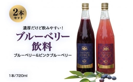 [数量限定]果汁50%ピンクブルーベリー飲料1本&果汁50%ブルーベリー飲料1本(化粧箱入り) 9-P