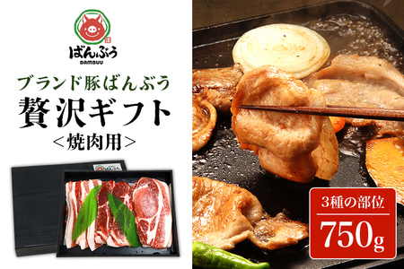 ブランド豚「ばんぶぅ」化粧箱入りギフト 焼肉用 750g 冷凍便 750グラム 豚肉 豚ロース 豚肩ロース 豚バラ肉 豚ばら肉 スライス うす切り 薄切り 焼き肉 ぶた肉 ブタ肉 国産 茨城県産 プレゼント 贈り物 贈答品 お祝い 42-BB