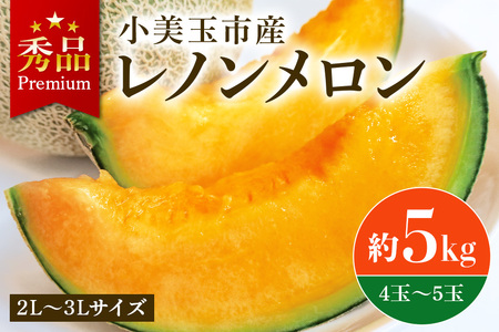 【数量限定・期間限定】メロン おみたまレノンメロン 赤肉 先行予約 数量限定 夏季限定 約5kg 4玉～5玉 秀品 茨城県産 めろん 52-A