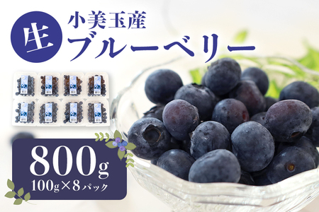 [数量限定・期間限定]小美玉ブルーベリー 約800g(100g×8) 大粒 小分け 国産 茨城県産 冷蔵 朝採れ 朝どり どれ 生果 ブルーベリー フルーツ 果物 くだもの とれたて 新鮮 ぶるーべりー 17-AG [6月下旬〜7月中旬発送予定]