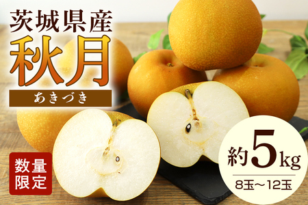 [数量限定 / 夏季限定] 梨(秋月)約5kg 梨 なし ナシ 日本梨 あきづき アキヅキ 17-X [9月上旬〜中旬発送予定]
