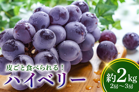 数量限定 期間限定 ハイベリー 約2kg(2房〜3房) ぶどう ブドウ 大粒 皮ごと食べられる 9月上旬〜9月下旬順次発送予定 54-B