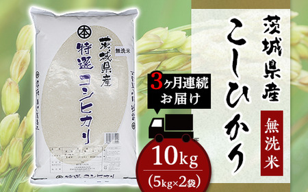 こしひかり 無洗米 10kg 3ヶ月連続お届け 小松崎商事 茨城県産 令和6年 253