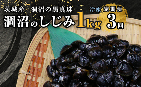 453 しじみ 定期便 1kg 冷凍 砂抜き 500g × 2袋 × 3回 ひぬま やまと シジミ 涸沼 大和 [3ヶ月連続お届け]