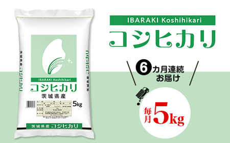 467 こしひかり5kg 定期便 [6カ月連続お届け] 令和6年