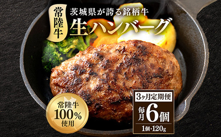 no[O120g×6 헤 100 y3A͂z 513