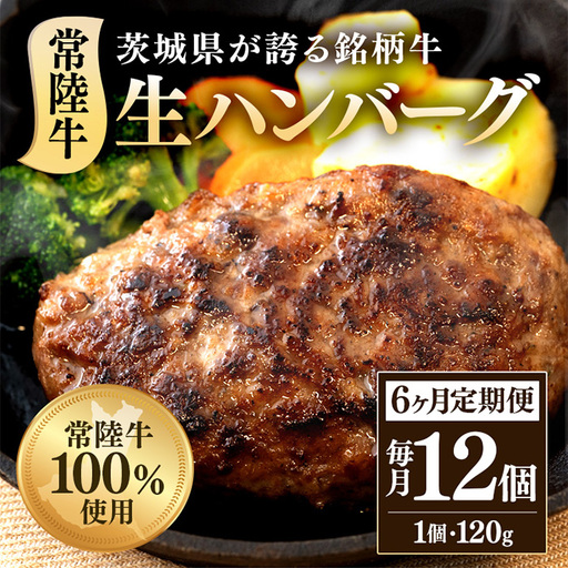 生ハンバーグ120g×12個 常陸牛 100％ 【6ヶ月連続お届け】 518