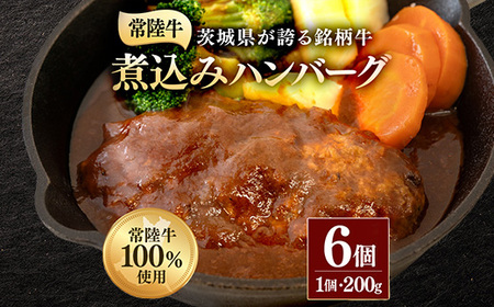 煮込みハンバーグ 200g×6個 茨城県 ブランド牛 常陸牛 使用 520