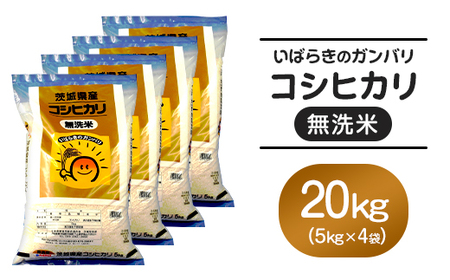 555 無洗米 こしひかり 20kg 5kg × 4袋 全農 茨城 パールライス 無洗コシヒカリ 令和6年