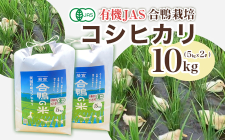 yߘa7NYzRVqJ 10kg t@[hƂ 571