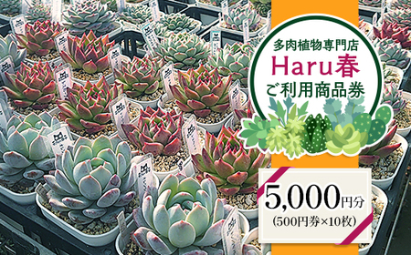 593 HarutŎg5,000~`Pbgi500~×10j
