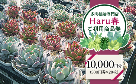 594 HarutŎg10,000~`Pbgi500~×20j