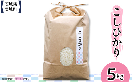 603 錧YRVqJ 5kgyЖz