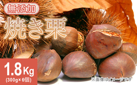 618 錧YĂI 1.8kg(300g×6)yEGmt@[z