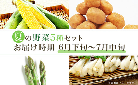 658 钬 Ă̖؃Zbg Ƃ낱 Ⴊ GVbg  AXpKX