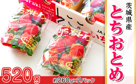 661 錧YuƂƂ߁v520gi2pbNjy2026N1{`3{\z
