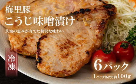 662 ؓ XЂ 600gi~؁jⓀ