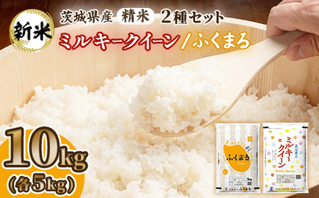 699yߘa7NYz錧Y ~L[NC[ ӂ܂ Zbg 10kg(e5kg)y΍菤Xz