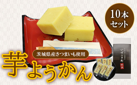 695 悤 錧܂gp 10{Zbgyx]فz