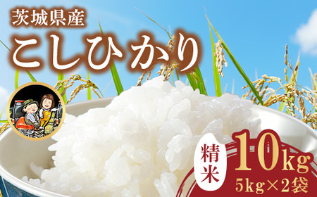 742 茨城県産 こしひかり 10kg (5kg×2袋) 令和7年産 精米[米農家もろちゃん]