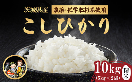 743 茨城県産 こしひかり 10kg (5kg×2袋) 農薬・化学肥料不使用 令和7年産 精米[米農家もろちゃん]