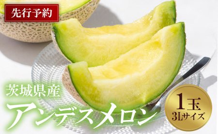 738 アンデスメロン 3L×1玉 先行予約 茨城県茨城町産 メロン[小島 正幸]