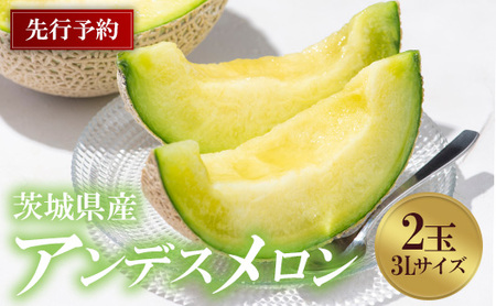 739 アンデスメロン 3L×2玉 先行予約 茨城県茨城町産 メロン【小島 正幸】
