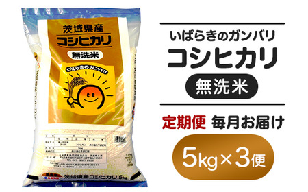 157 無洗米 コシヒカリ 5kg 定期便 令和6年 茨城県産[3ヵ月連続お届け]