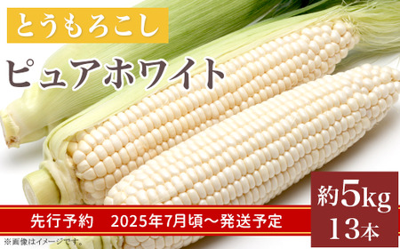 326とうもろこし(ピュアホワイト) 約5kg 13本 白 茨城 [先行予約 2024年7月頃〜発送予定]