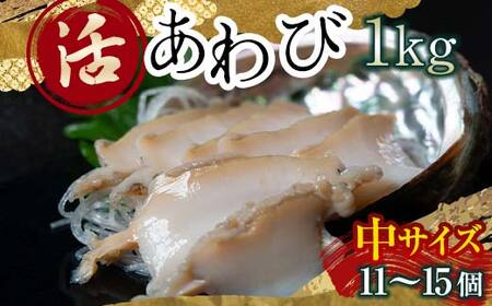 天然 活 あわび 1kg(中サイズ・11〜15個)北海道噴火湾産[物産館運営振興会((株)ハマグチ)] あわび 鮑 アワビ 海産物 魚貝類 ふるさと納税 北海道 森町 