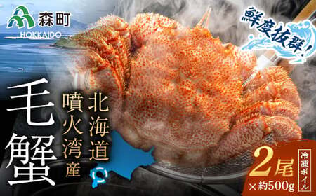 kCEΘpYⓀ{CуKj500gO×2 CN≮@Ё@  Jj I Kj  X ӂ邳Ɣ[ kC ъI т уKj уJj mr1-0949