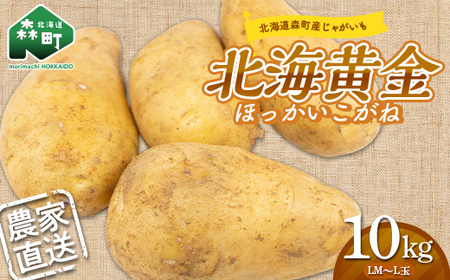 [先行予約]希少!北海道森町産じゃがいも「北海黄金ほっかいこがね」LM〜L玉 約10kg(2026年9月より順次発送) 