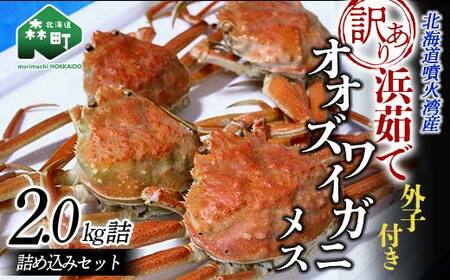 【訳あり】浜茹でオオズワイガニのメス（外子付き）2kg 詰め込みセット 北海道噴火湾産 ＜道産ネットミツハシ＞ かに カニ 蟹 がに 北海道 森町 ふるさと納税 mr1-0727