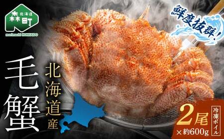 [先行予約] 北海道・噴火湾産冷凍ボイル毛ガニ約600g前後×2尾 毛ガニ 毛カニ 蟹 かに かにみそ 海産物 海鮮 森町 