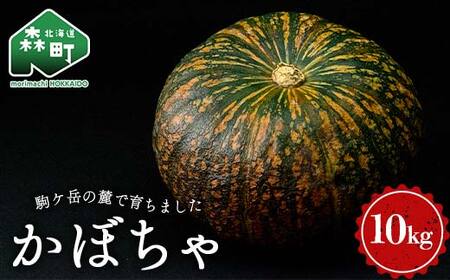 ys\zڂiPgj10kgi5`7ʓj@kCXYi2025N11{ȍ~j J{` Z   ϕ H X[v T_ ڂv VՂ kC X ӂ